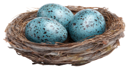 Small spotted quail eggs in a natural straw bird nest for a spring Easter breakfast decoration
