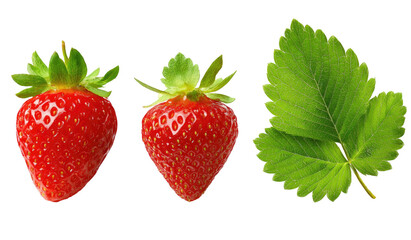 Two ripe red berries and a vibrant green leaf