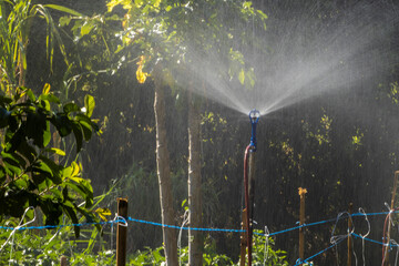 Sprinkler irrigation system watering a lush green agricultural field in Brazil. Water sprays in...