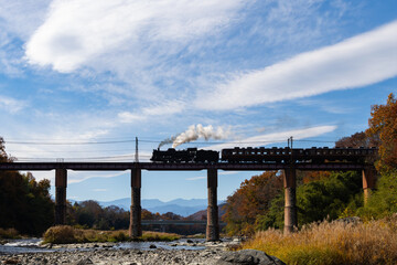 荒川橋梁を通過するパレオエクスプレス
