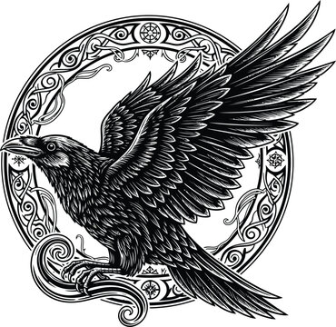 Black raven illustration with celtic knotwork circle vector artwork eps silhouette