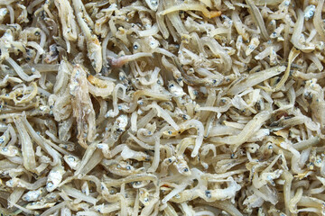Close up background of small white anchovy salted fish