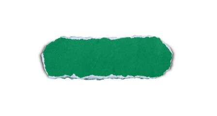 piece of blank green paper torn and ripped with shadow on transparent background. document frame...