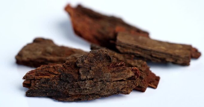 Babul Chaal - Acacia Bark, also known as Vachellia,Nilotica bark,Kikar Ki Chaal, Gum Arabic Tree Bark