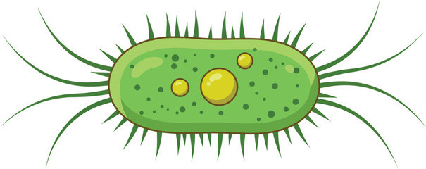 Cartoon green germ vector illustration for biology and health