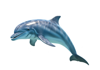 Single dolphin swimming gracefully underwater with light rays filtering through water isolated on transparent background