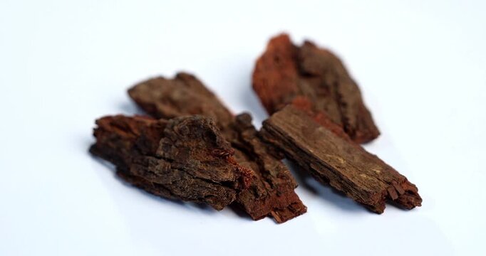 Babul Chaal - Acacia Bark, also known as Vachellia,Nilotica bark,Kikar Ki Chaal, Gum Arabic Tree Bark
