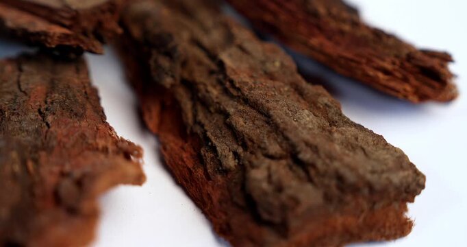 Babul Chaal - Acacia Bark, also known as Vachellia,Nilotica bark,Kikar Ki Chaal, Gum Arabic Tree Bark