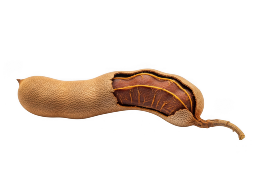 A single tamarind pod, partially opened to reveal the pulp and seeds inside, isolated on a transparent background