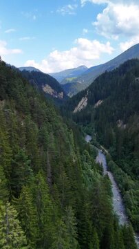 Swiss pine tree forest valley river water stream, Switzerland nature highlands