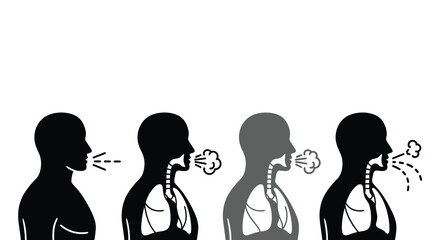 Human body breathing stages illustration for medical infographics