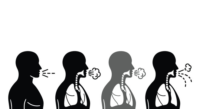Human body breathing stages illustration for medical infographics