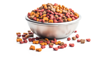 A bowl full and overflowing with dry pet food 