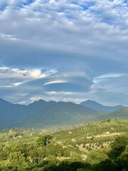 The image features a scenic landscape with rolling green hills and distant mountains under a partly cloudy sky. The foreground is filled with lush, dense vegetation and small patches of cleared land