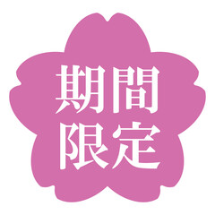 桜の花のイラスト素材　「期間限定」の文字入り　背景透過　ピンク
