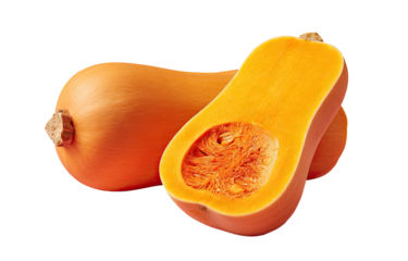 Two bright orange, elongated squash, one cut revealing inner seeds