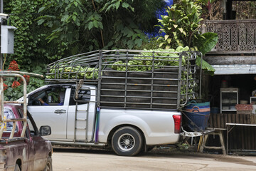 White pickup truck with metal cage full of green vegetable harvest parked on rural road. scene of agriculture transport and local commerce in village © CoreRock