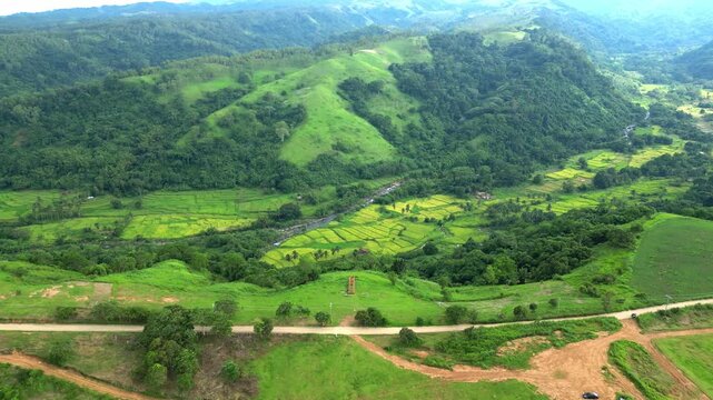 A downward aerial near Quinawan Beach where rice fields and small water stream sits in a wide valley surrounded by vibrant green trees in Marivele, Bataan Philippines
