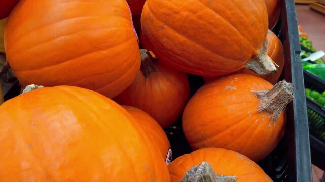 Market shot of assorted pumpkins zapallo auyama stacked in a container