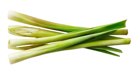A bundle of fresh, green lemongrass stalks, isolated on black