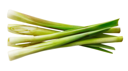 A bundle of fresh, green lemongrass stalks, isolated on black