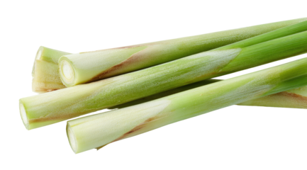 Fresh green stalks with light brown bases on black background