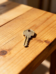 Realistic Key on Textured Wood