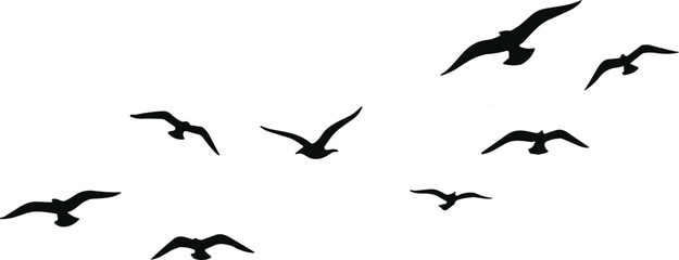 Flock of black silhouette seagulls flying in different directions against a white background