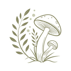 Delicate illustration of two mushrooms and leafy branches on a white background fungi