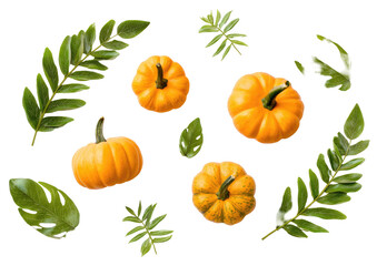 Autumn harvest of small pumpkins and greenery on black