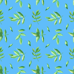 Seamless pattern with rose hip leaves on white background. Perfect for wallpaper, gift wrap, pattern fill, web page background, summer greeting cards