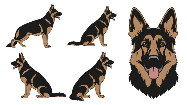 German Shepherd Dog Illustration Collection Poses, Head, and Breed Representation