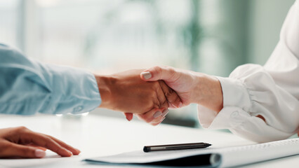 Business people, handshake and deal in office, hiring and contract for hr opportunity. Recruitment, shaking hands and workers with agreement for onboarding, partnership and thank you in workplace