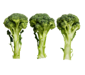 Three fresh broccoli florets stand tall against a dark background