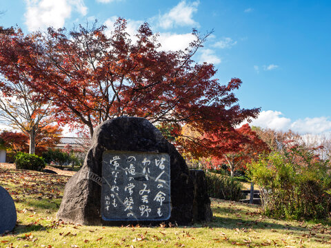 紅葉に包まれる万葉歌碑と秋の万葉文化館