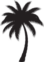 Palm Tree SVG Bundle