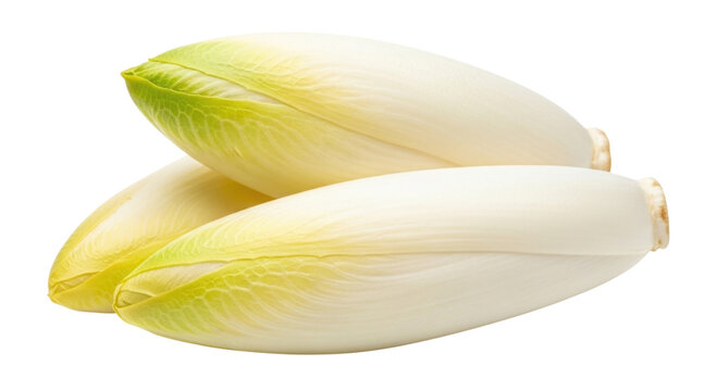 Three belgian endives on a black background transparent background cutout png