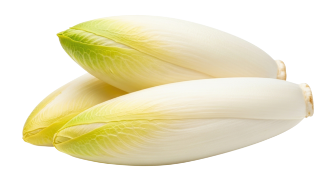 Three belgian endives on a black background transparent background cutout png - Powered by Adobe