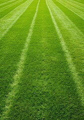 Freshly mown, lush green lawn presenting a perfectly striped, verdant carpet of healthy grass under bright daylight, ideal for outdoor spaces ,landscaping ,summer ,bright