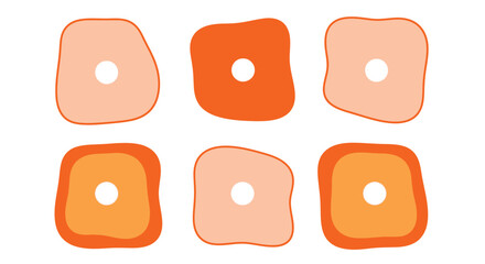 Explore cell structures with this clear and colorful science graphic