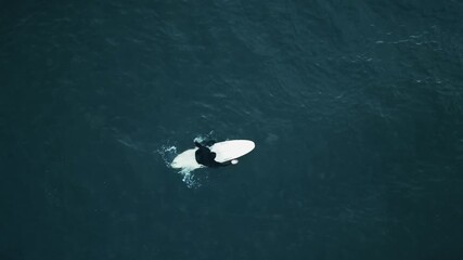 Lone surfer in ocean near Port Renfrew, serene and adventurous moment