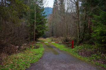 Fototapeta premium Closed metal barrier blocking a forest road in a natural outdoor area.