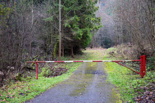 Closed metal barrier blocking a forest road in a natural outdoor area.