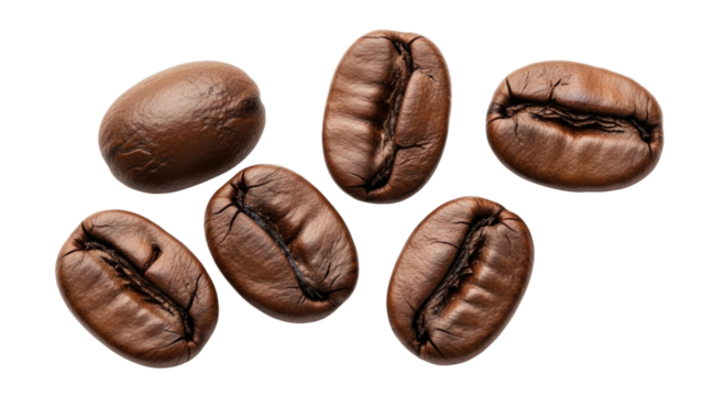 Six coffee beans transparent background cutout png
