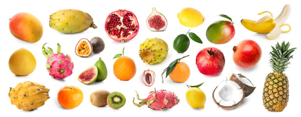 Set of many different exotic fruits on white background