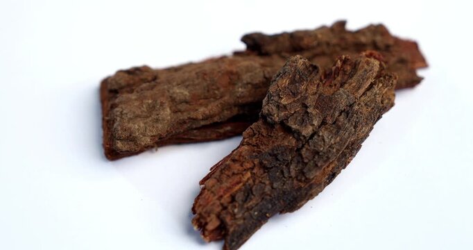 Babul Chaal - Acacia Bark, also known as Vachellia,Nilotica bark,Kikar Ki Chaal, Gum Arabic Tree Bark