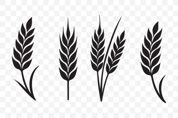 Wheat spikes, Wheats ears icon set, Harvest wheat grain, growth rice stalk and whole bread grains or field cereal nutritious.