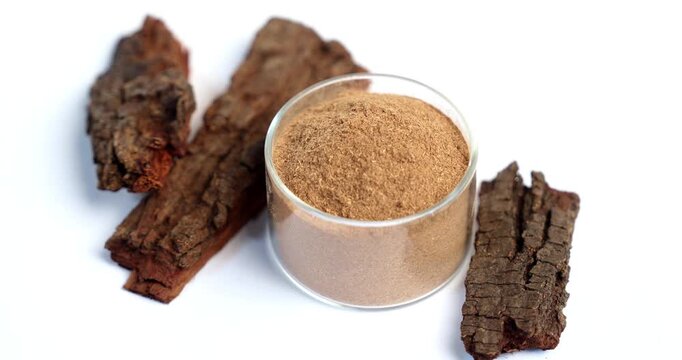 Babul Chaal - Acacia Bark, also known as Vachellia,Nilotica bark,Kikar Ki Chaal, Gum Arabic Tree Bark