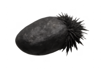 Lodestone displaying magnetic field with iron filings