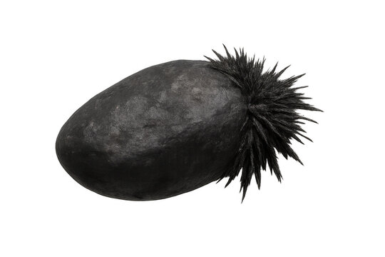 Lodestone displaying magnetic field with iron filings